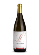 CABERNET SAUVIGNON 2025